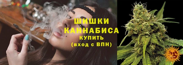 спайс Нея